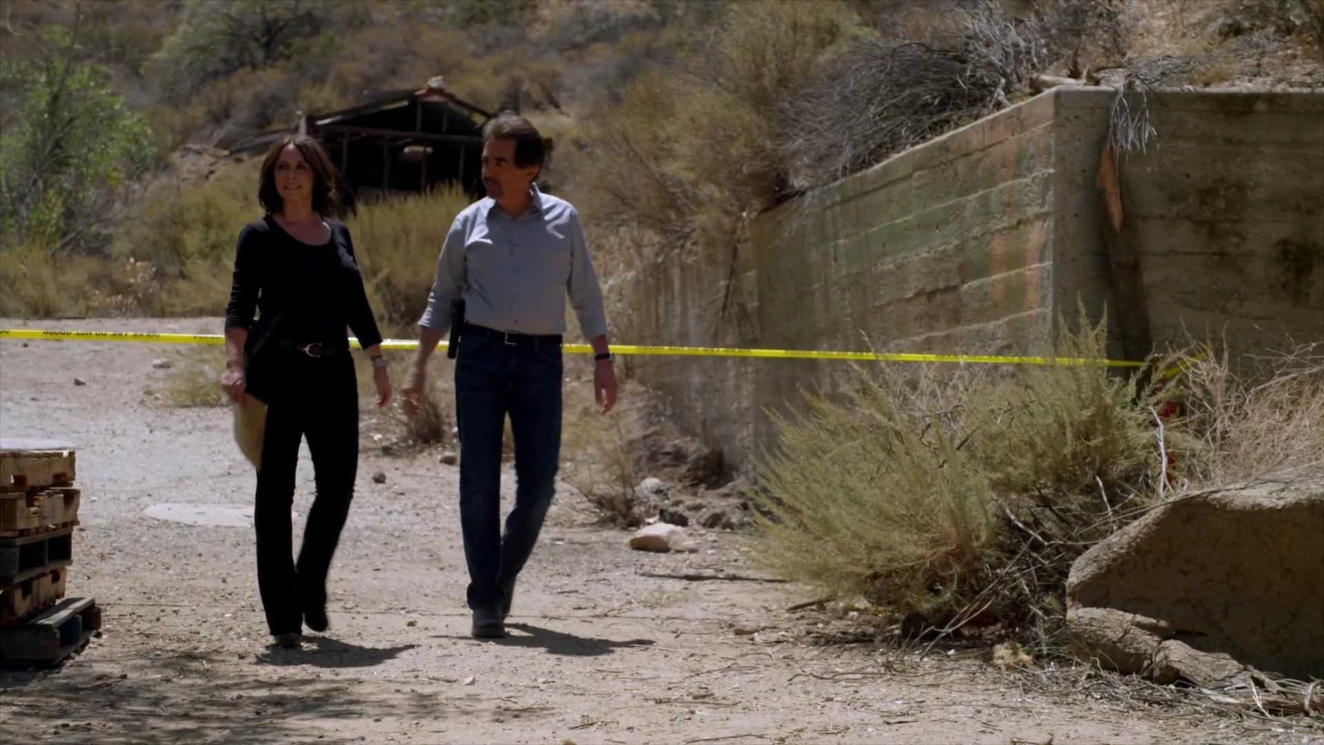 CriminalMinds-S10E01_180.jpg