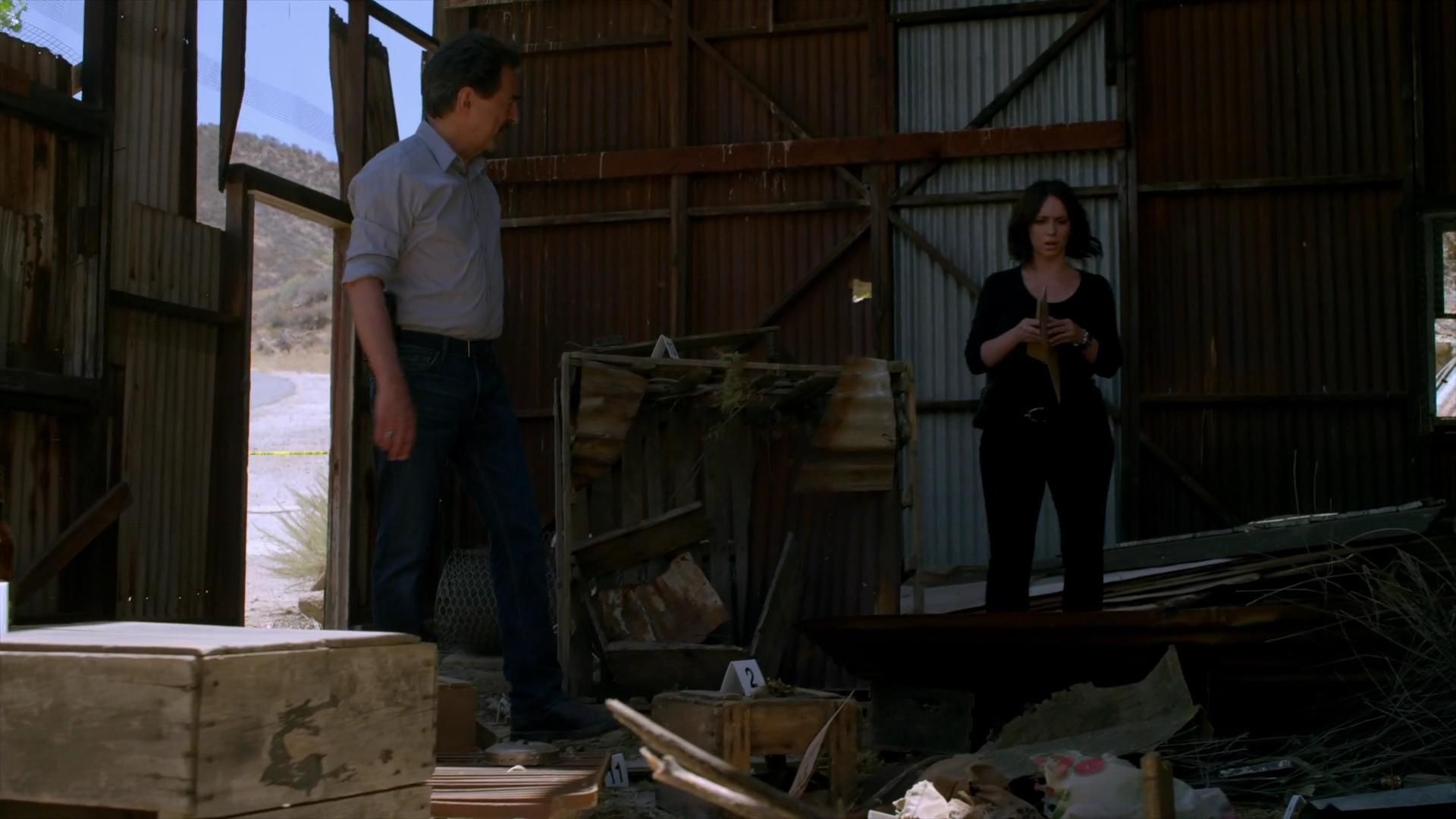 CriminalMinds-S10E01_198.jpg