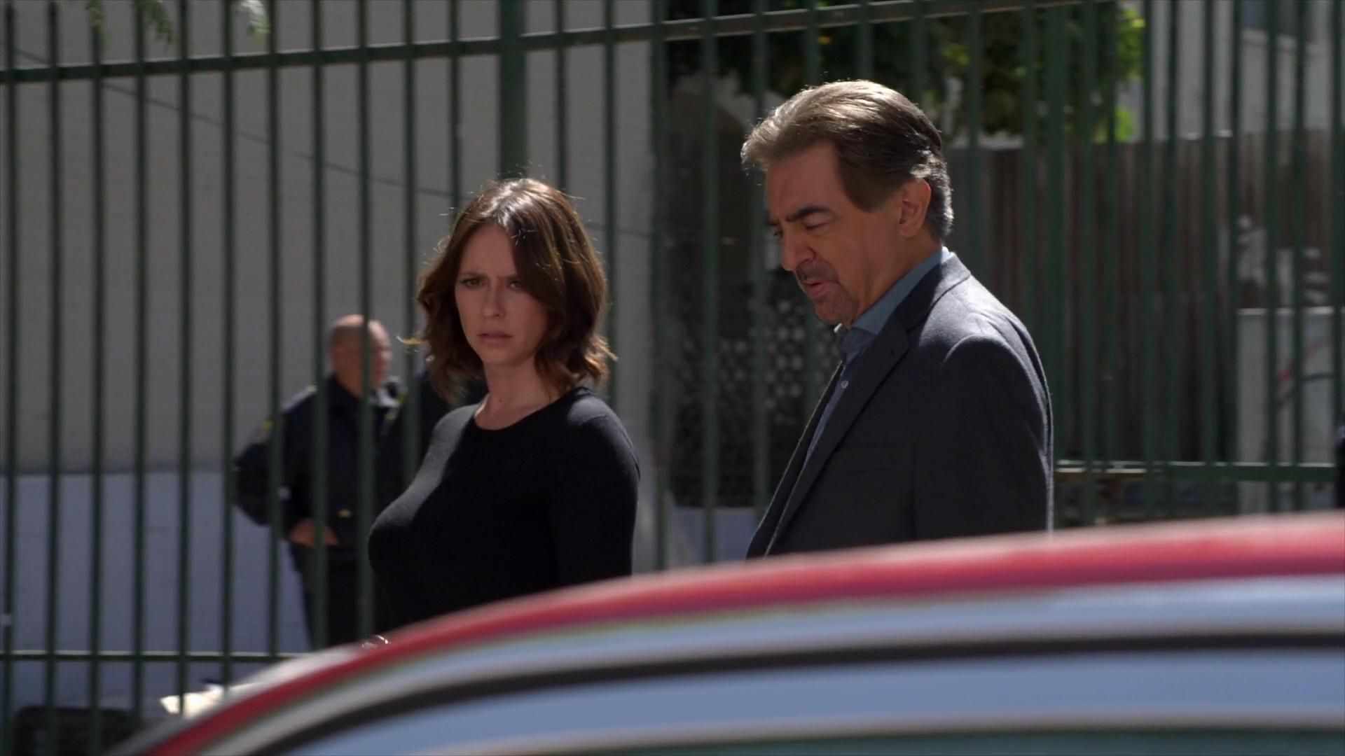 CriminalMinds-S10E08_062.jpg